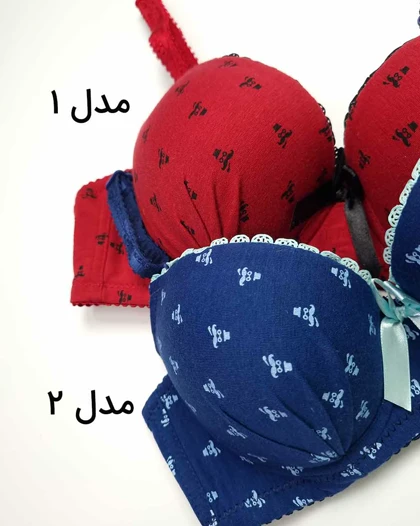 سوتین اسفنجی زنانه فنردار اترین