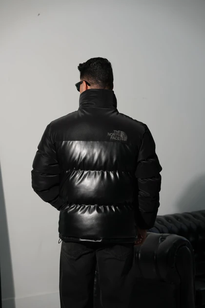 کاپشن نورث فیس