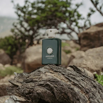 عطر آمواج پورپوس AMOUAGE - Purpose