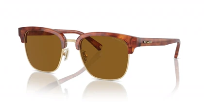 عینک آفتابی کوچ Coach HC8326S 577483