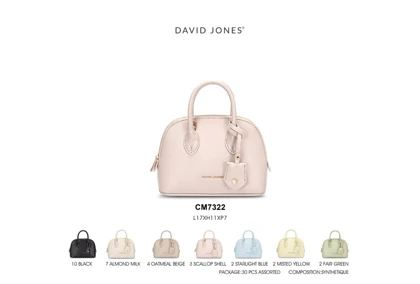 کیف دستی مدل David Jones CM7322