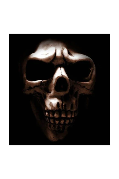 تیشرت سایز بزرگ مردانه lifeguard