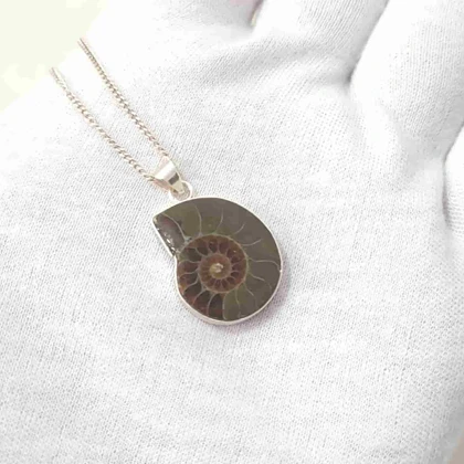 گردنبند نقره با فسیل آمونیت طبیعی اصل کد70 (بدون زنجیر)