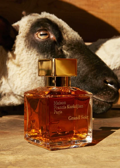 عطر فرانسیس کورکجان گرند سویر - Maison Francis Kurkdjian Grand Soir
