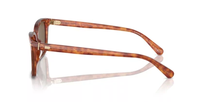 عینک آفتابی کوچ Coach HC8398U