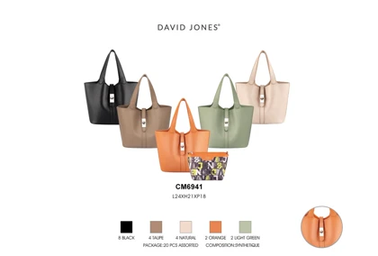 کیف دستی مدل David Jones CM6941