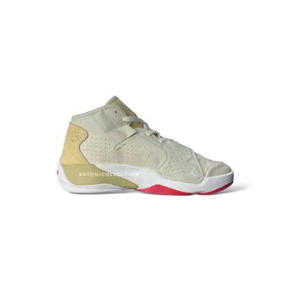 کتانی نایک جردن زیون 2 Nike Jordan Zion 2