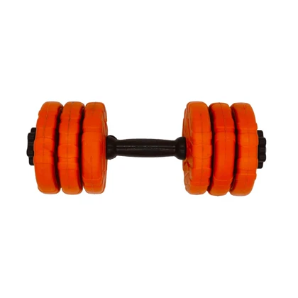 دمبل گرد قابل تنظیم وزن 6 کیلوگرم رادیس فیت مدل DVP 6-1000 one handle