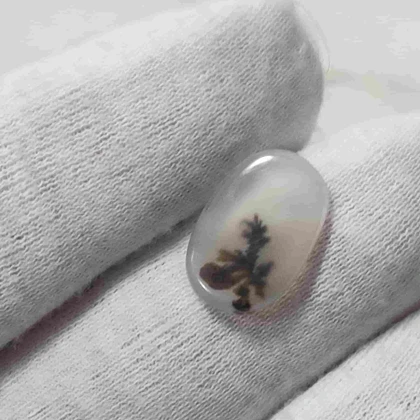 عقیق شجر قائن اصل کد 25