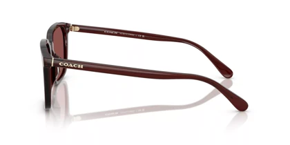 عینک آفتابی کوچ Coach HC8411U 585075