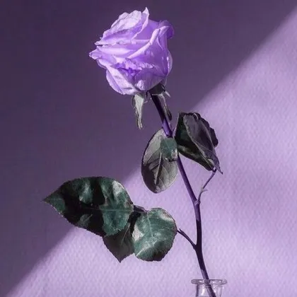 گردنبند مدل Rose Lover
