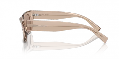 عینک آفتابی دولچه گابانا Dolce & Gabbana DG4462S 34325A