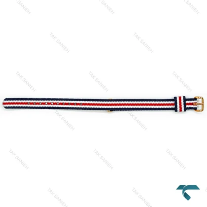 بند برزنتی ساعت دنیل ولینگتون زنانه رزگلد کانتربری DW-Strap-4244-L