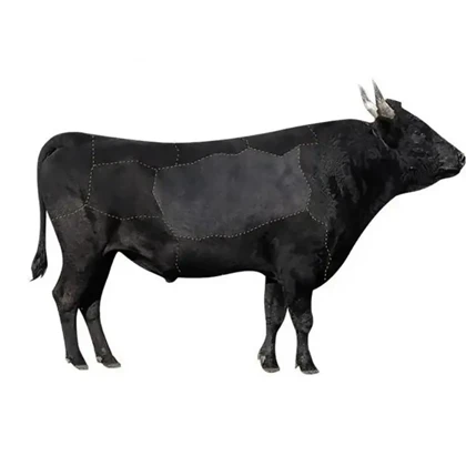 کوله پشتی لپ تاپ 15.6 اینچ چرم بنج Bange اصل مدل BG-6623 با پورت USB