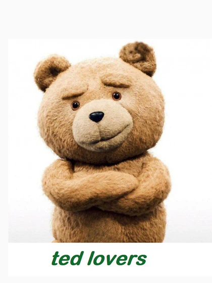 تیشرت تد | ted lovers Essential کد 249562