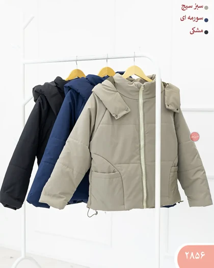 کاپشن کلاهدارستینا 2856