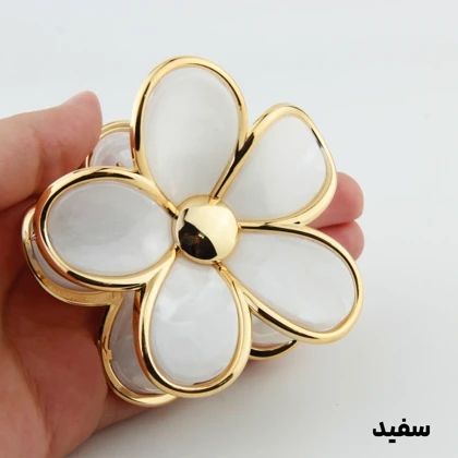 کلیپس دخترانه مدل سنگی طرح پلومریا دور طلایی