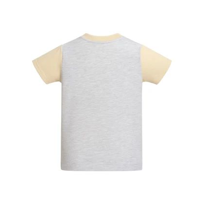 ست تیشرت آستین کوتاه و شلوارک راحتی پسرانه مدل PJ1393