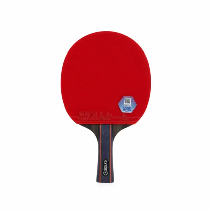 راکت پینگ پنگ LOKI دو ستاره سری R202 به همراه کاور