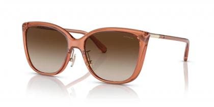 عینک آفتابی کوچ Coach HC8345S