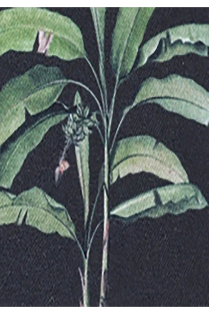 پایین تنه ساحلی مردانه colins