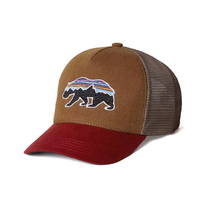 کلاه کپ patagonia