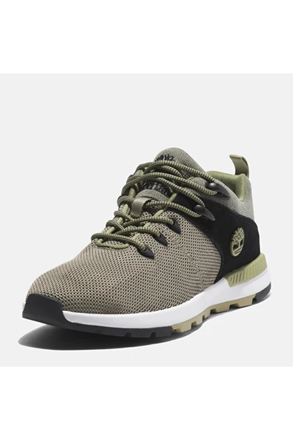 کفش های طبیعت گردی مردانه timberland timberland