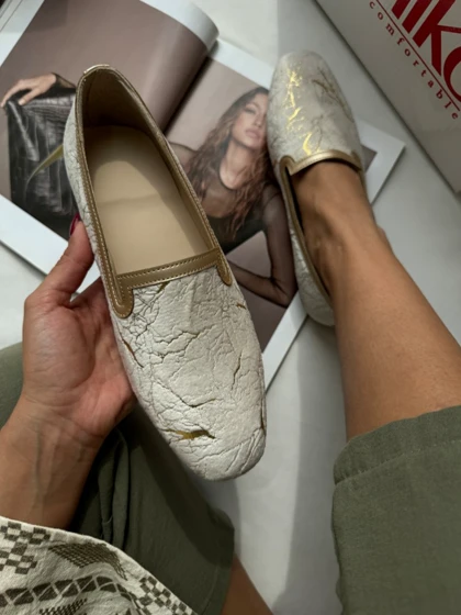 کالج لوتوس 1544