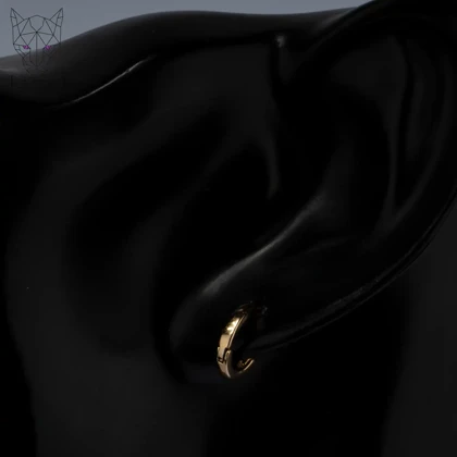 گوشواره حلقه‌ای ساده مینیمال گلد ژوپینگ