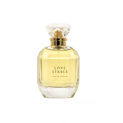 ادوپرفیوم زنانه ایکسید XCEED Love Stable