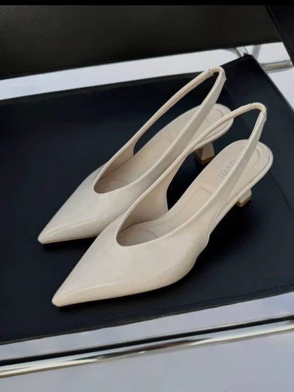 مجلسی پشت‌باز