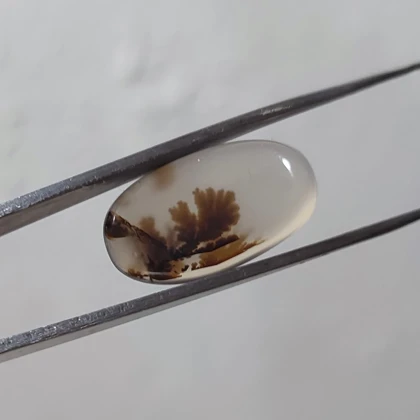 عقیق شجر قائن اصل کد 2