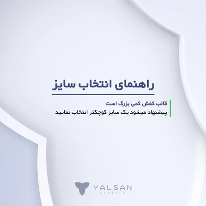 ست کیف و کفش زنانه چرم یلسان مدل لیان کد 947-ANEMOR-MC