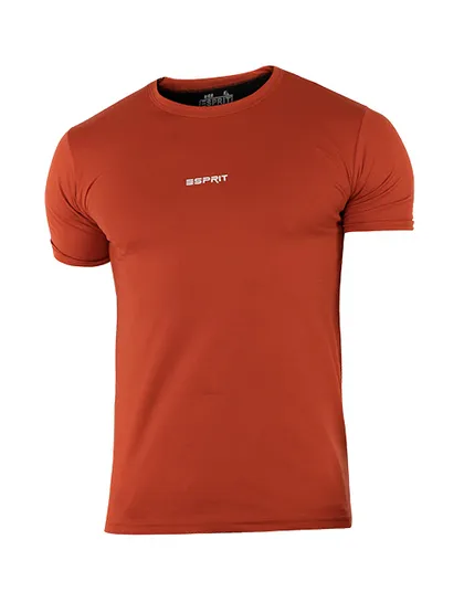 تیشرت یقه گرد مردانه Esprit