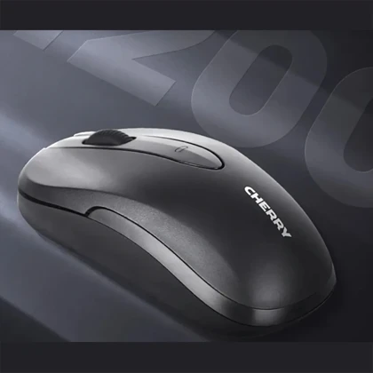 ست موس و کیبورد بی سیم چری DW 2300