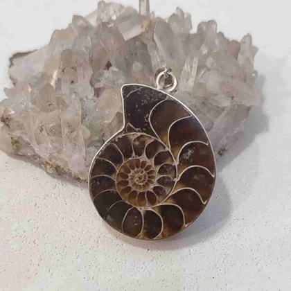 گردنبند نقره با فسیل آمونیت طبیعی اصل کد 62 (بدون زنجیر)