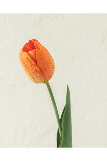 گل مصنوعی تک‌شاخه English Home مدل Tulip Garden