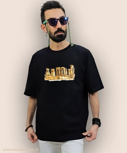 تیشرت لش مردانه و زنانه اصیل ایرانی طرح تخت جمشید کد 1001