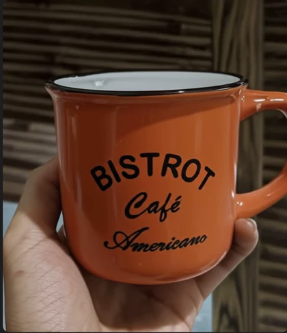 ماگ سرامیکی طرح دار BISTROT