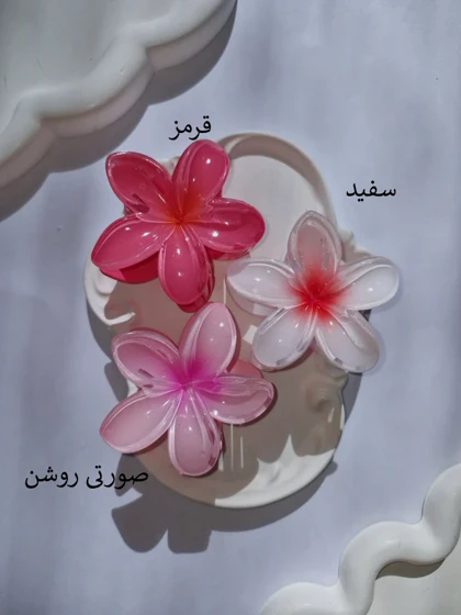 پلومریای جدید-کد925