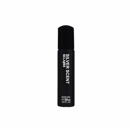 عطر قلمی مردانه اسکلاره مدل Silver Scent با حجم 30 میلی‌لیتر