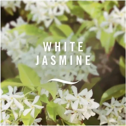 اسپری خوشبوکننده White Jasmine فبرز 185 میل
