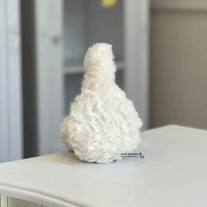 گوشگیر زمستانه تدی