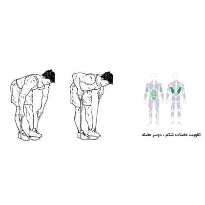 کش بدنسازی همه کاره رادیس فیت مدل All in One