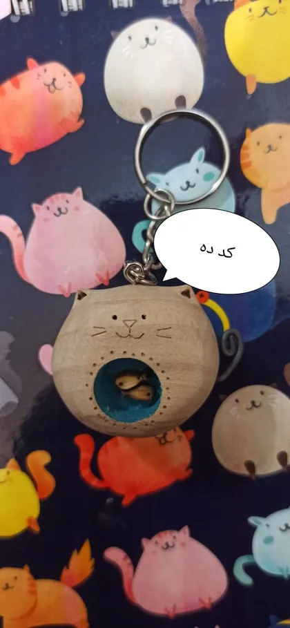 جا سوییچی چوبی گربه