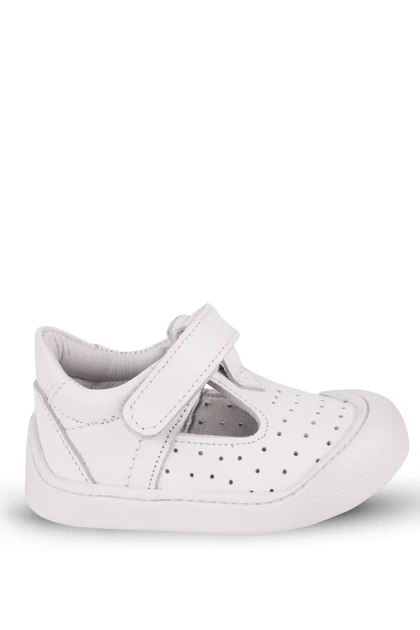 کالج بچگانه kaptan-junior kaptan-junior