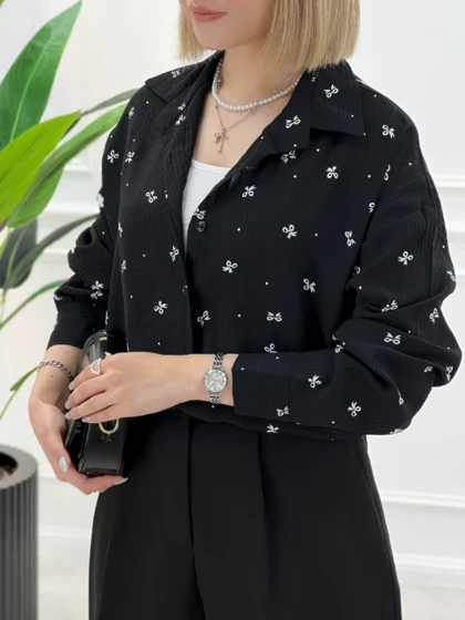 شومیز آیسو