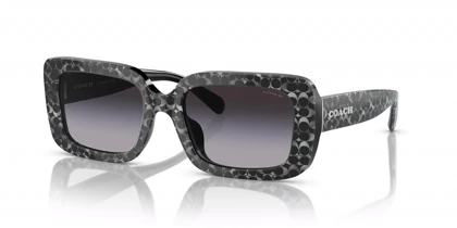 عینک آفتابی کوچ Coach HC8380U