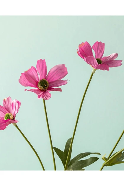 گل مصنوعی تک‌شاخه English Home مدل Daisy