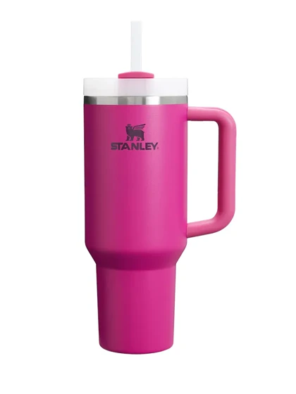 ماگ دسته دار استنلی تامبلر نی دار QUENCHER H20 TUMBLER